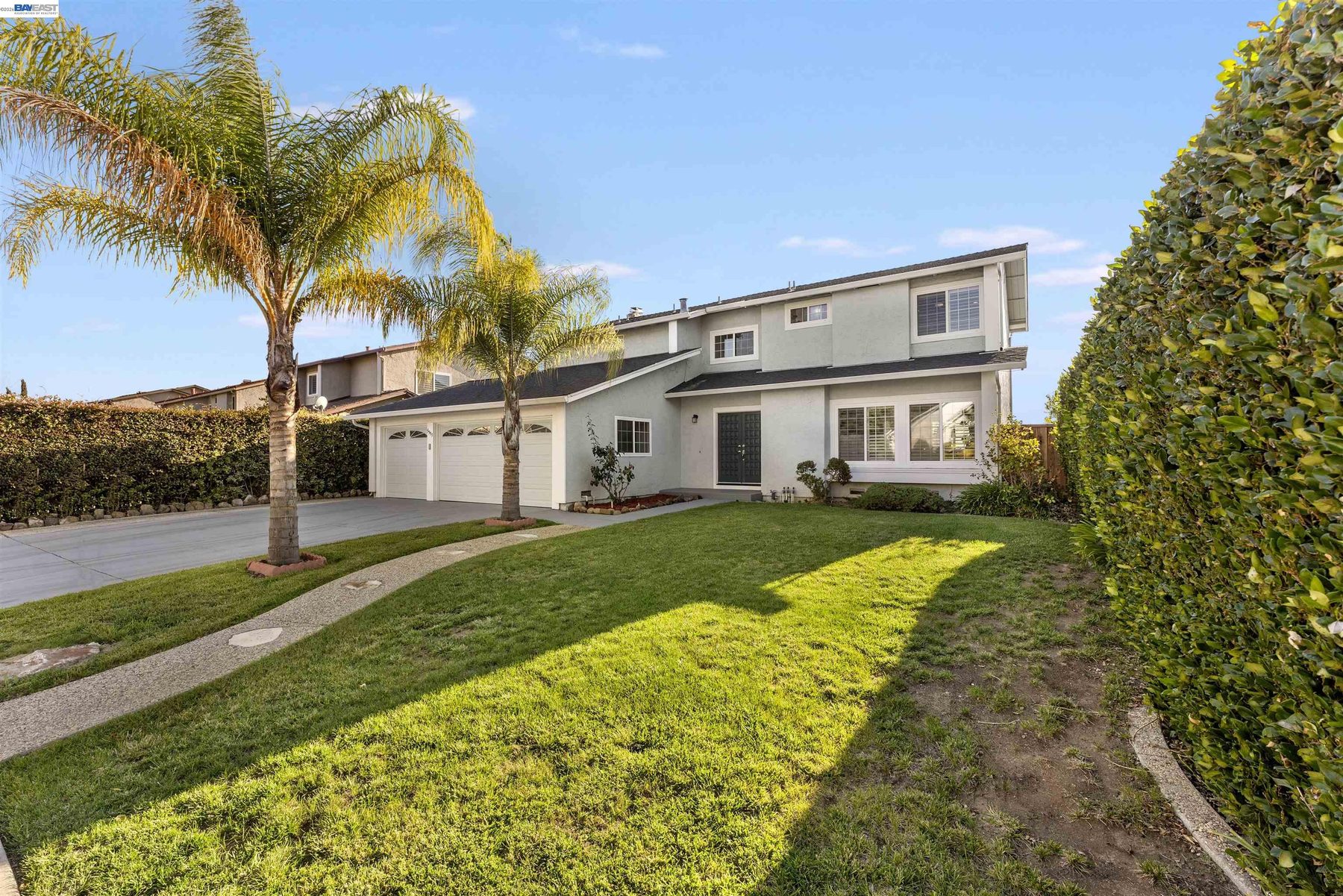 Manicured side lawn and hedging
