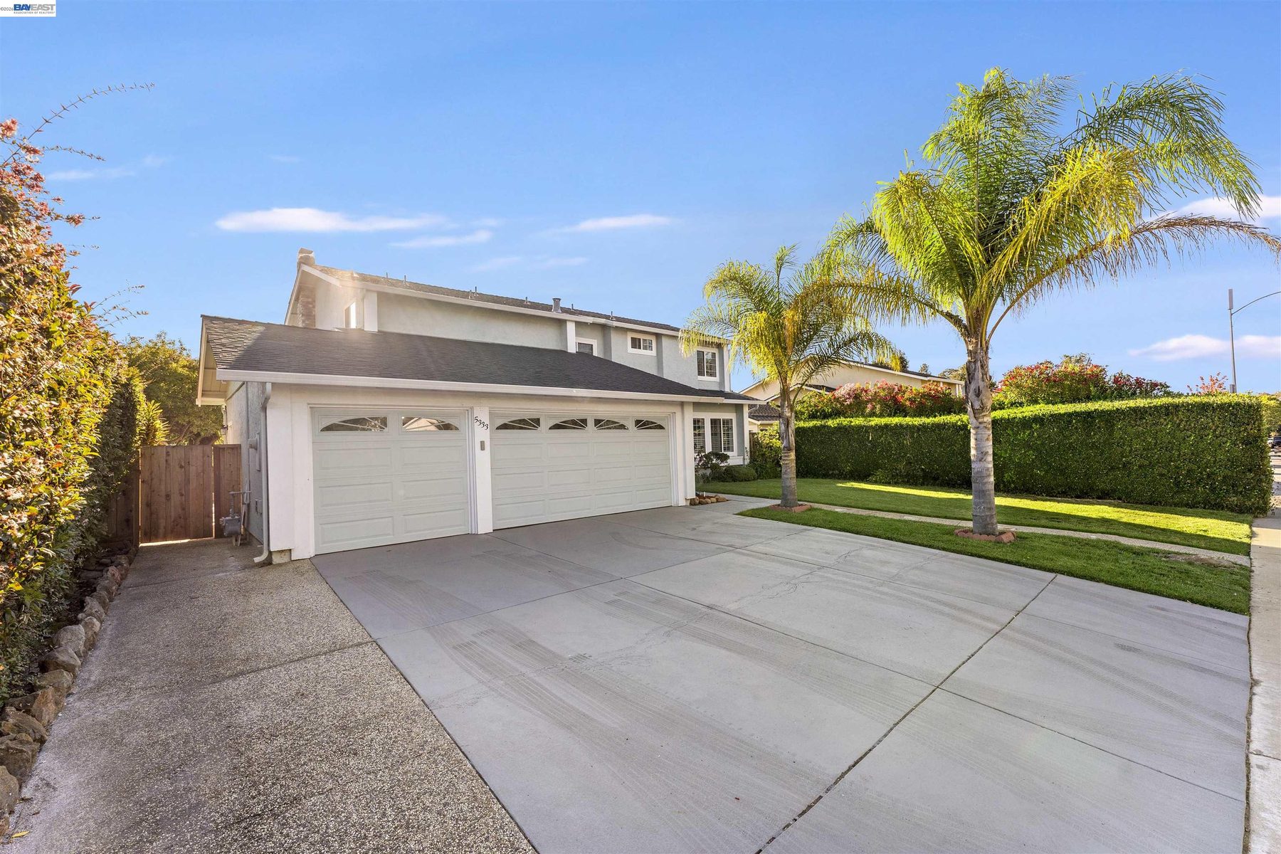 Driveway approach with mature palms